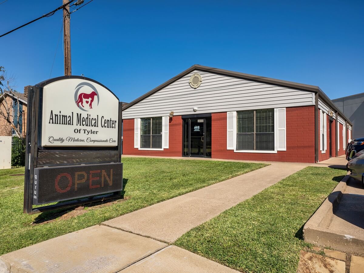 Animal Medical Center Of Tyler Tour | Vet Clinic In Tyler, TX 75703