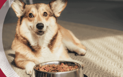 A Better Way to Buy Pet Food