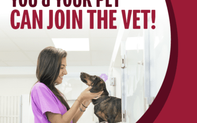 You and Your Pet can Join the Vet!