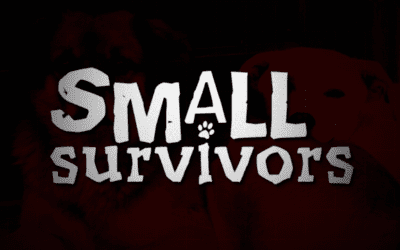 SPECIAL REPORT: Small Survivors