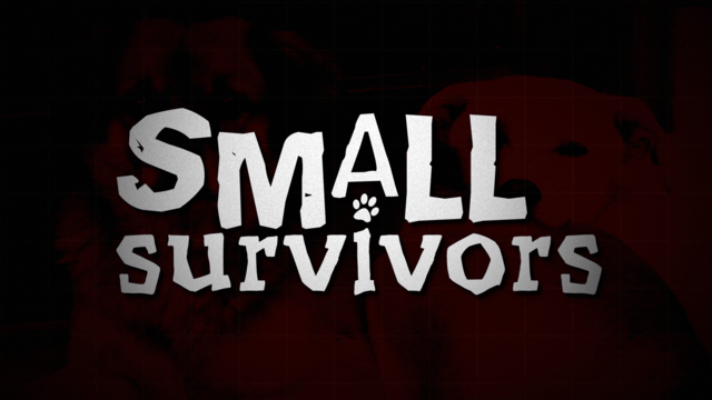 Small Survivors