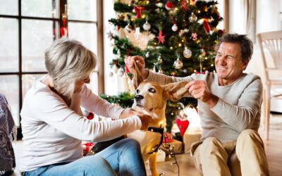 Creating Joyful Holidays for Senior Pets: Tips from the Animal Medical Center of Tyler
