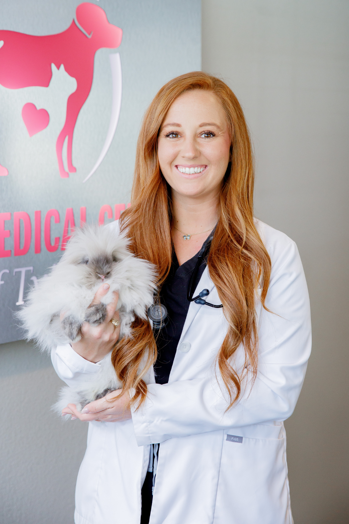 Vet holding cute cat