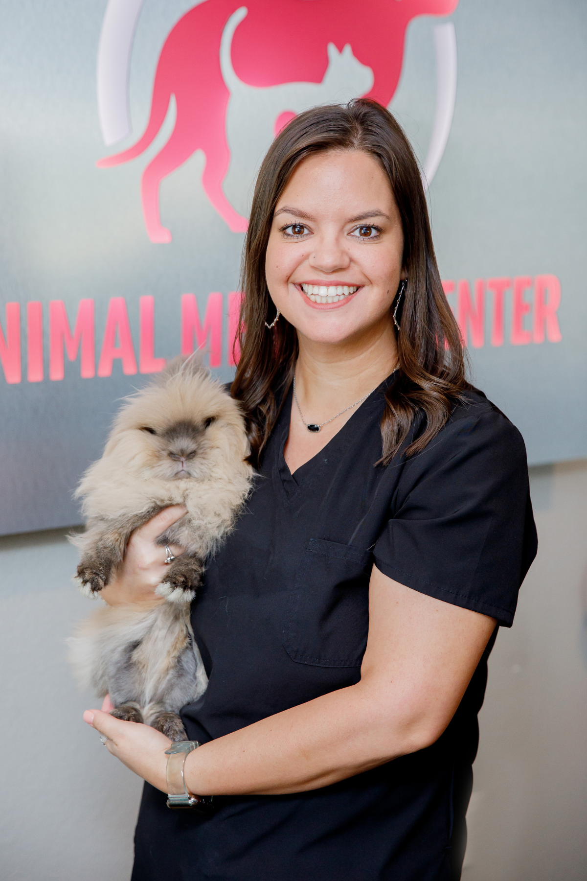 Vet holding cute cat